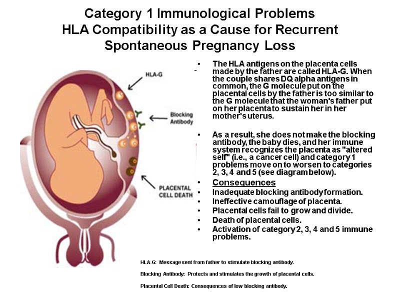 Category 1 Immunological Problems  HLA Compatibility as a Cause for Recurrent Spontaneous Pregnancy